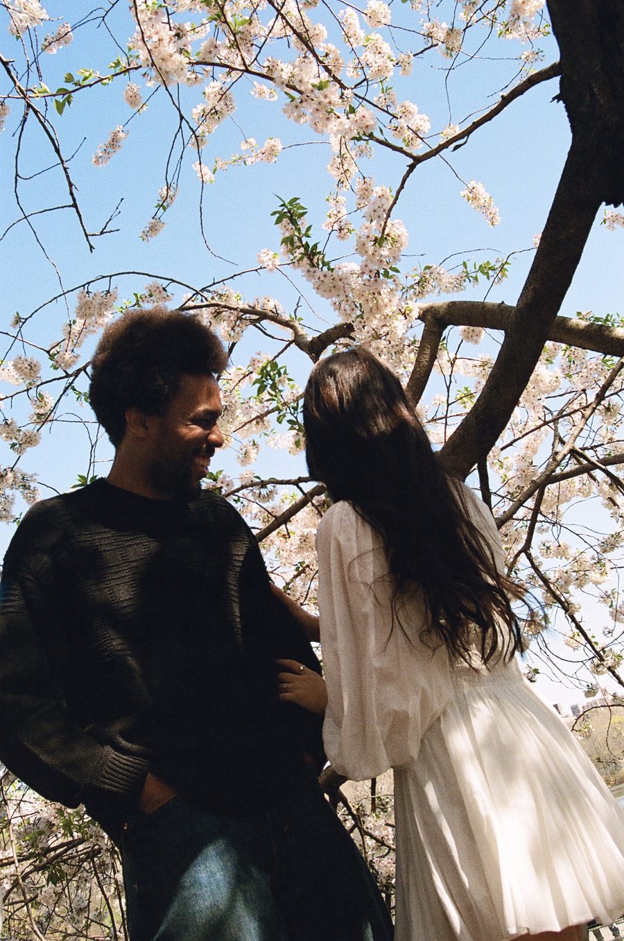 Sammy and Gabriel under cherry blossoms
